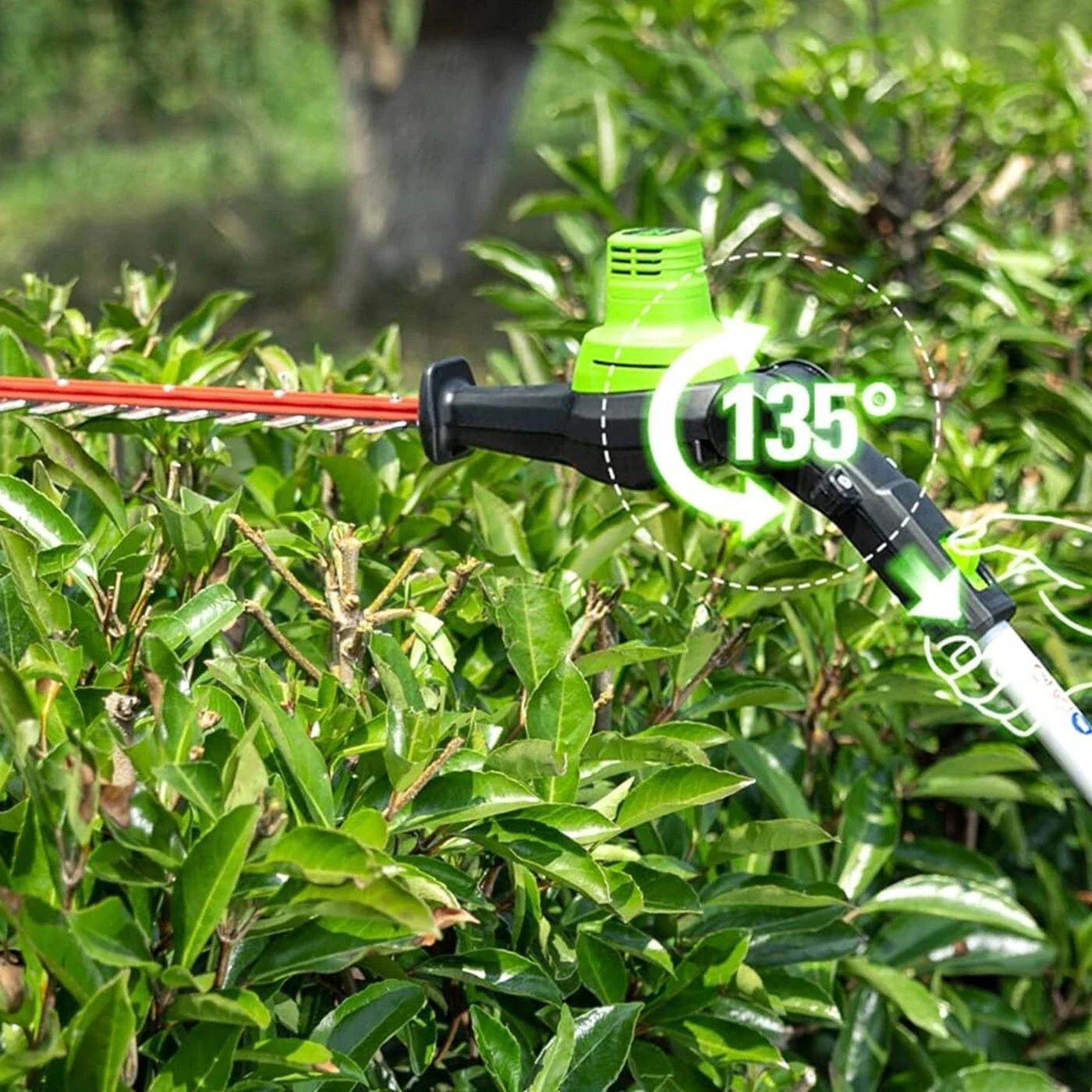 Image du produit 5
